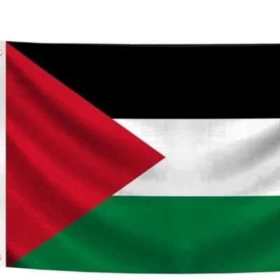 kerimcanik's profile picture. 