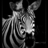 victor_woo's profile image