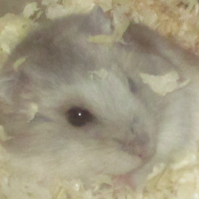 archi_fsb's profile picture. 