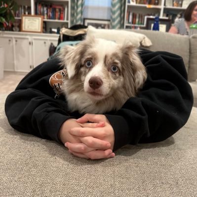 cmerge20's profile picture. 