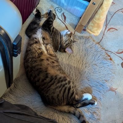 LeavingAILegacy's profile picture. 