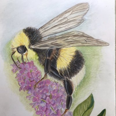 Artist & Art Tutor with a special interest in all things creative