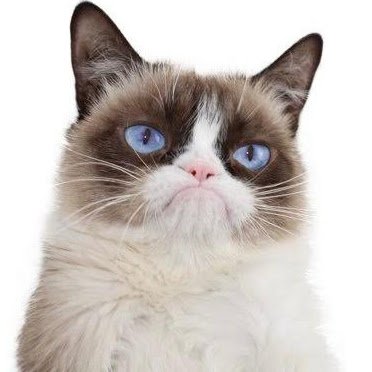 BotboxNissen's profile picture. 