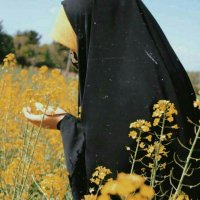 یازهرا✌️🇮🇷 (@glrz23129) 's Twitter Profile