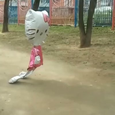 qqq64524's profile picture. 