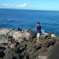 Teddy Woga (@teddywoga) 's Twitter Profile