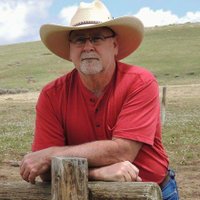 Ray Cox (@daddyrabbit55) 's Twitter Profile