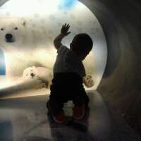 livinseasy619's profile picture. The biggest risk is the one you're not taking.