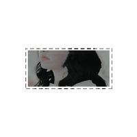 โโ ๐๐ข๐๐ ๐๐ก ๐๐๐ค๐. (@lgnaslusa) 's Twitter Profile Photo โโ ๐๐ข๐๐ ๐๐ก ๐๐๐ค๐. (@lgnaslusa) 's Twitter Profile Photo