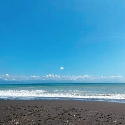 usuyuu0922's profile picture. 