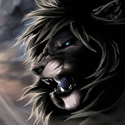 asad Profile