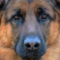JM (@nala_jake) 's Twitter Profile