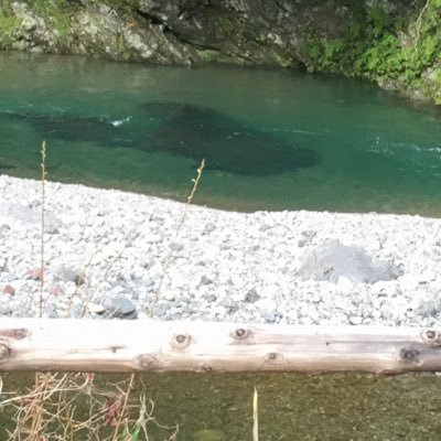 konnyaku666666's profile picture. こんばんは