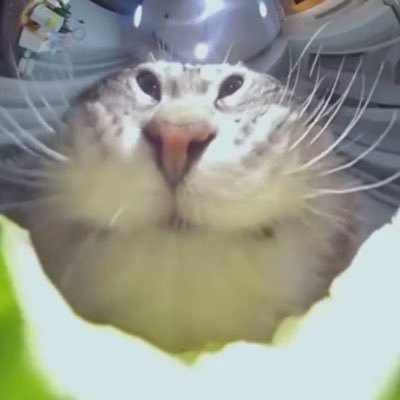 ARacer17066's profile picture. 