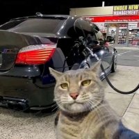 Mixoon (@m1x0on) 's Twitter Profile