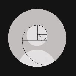 rigomXd's profile picture. 377