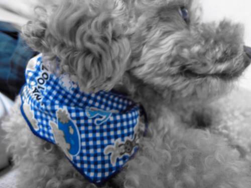 KeiiisukE's profile picture. どーも、けーすけです(^^)/
気軽にフォローどぉぞ♪(´ε｀ )
社会人1年目！頑張っていきます！