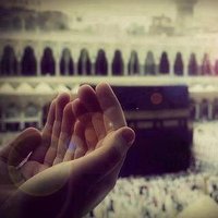 عبدالكريم بن يحيى (@x_nox1) Twitter profile photo