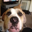 Andy kemp - @andykemp9 - Twitter