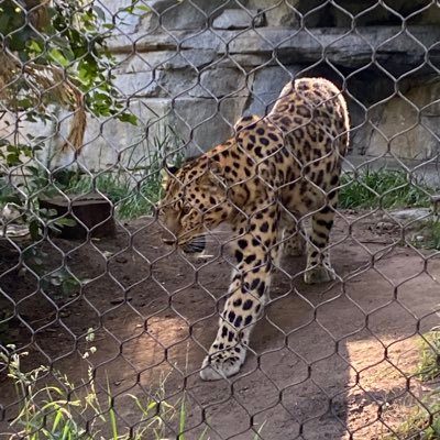 MariFlores2411's profile picture. 