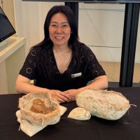 🦴Shino Sugimoto 🦴 (@curioushino) 's Twitter Profile Photo 🦴Shino Sugimoto 🦴 (@curioushino) 's Twitter Profile Photo