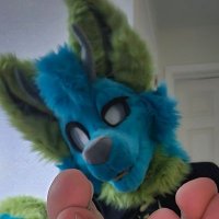 Yoki🔜FWA2025 (@weird_furryboi) 's Twitter Profile