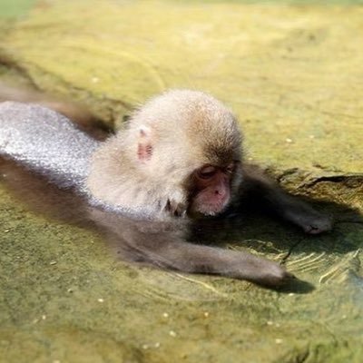 hlib69's profile picture. work sucks i should have just stayed in jail