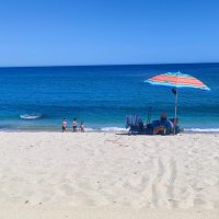 Oscar Surfer ® (@windsurfbcs) 's Twitter Profile