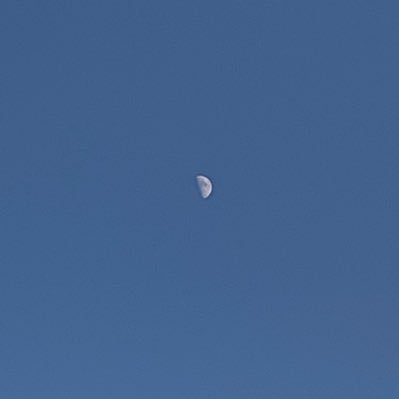 naniispace's profile picture. 