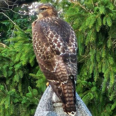 RichieMand817's profile picture. UAW Auto worker