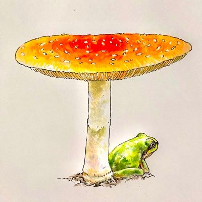 Android App Developer with KMP/DTMer/Mathematics - Information Geometry/Regional Revitalization/Mycorrhiza, Fungi/Circular Agriculture & Forestry