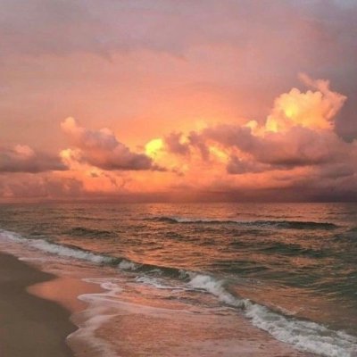 Youngji35207759's profile picture. 