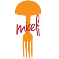 Miceli (@micelirest) 's Twitter Profile