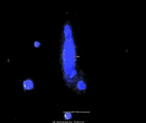 diklese's profile picture. 