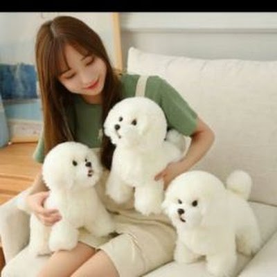 katari_abh92213's profile picture. 