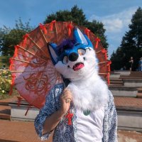 Ami Bluefox --EuroFurence25 (@amibluefox) 's Twitter Profile