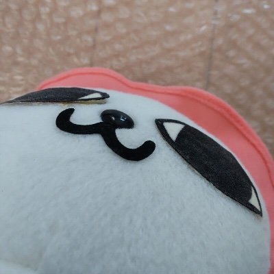 MealCamo's profile picture. ask me about lichen