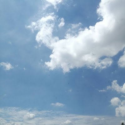 Dana2Rivera's profile picture. Reddio