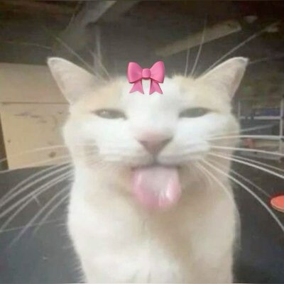 ʕ •ᴥ•ʔ bigbackedbitchさんのプロフィール画像