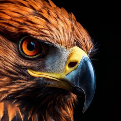 kkaalldd1986's profile picture. 