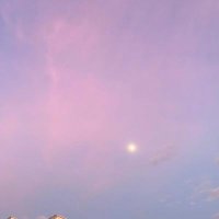 Casper's (@2547casper5394) 's Twitter Profile