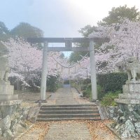 ごん (@schmidt0929) 's Twitter Profile