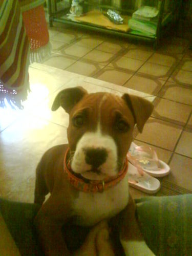 nereaacerorubio's profile picture. 