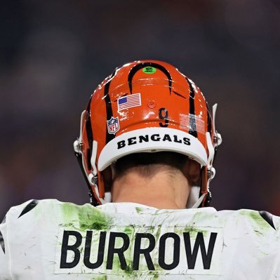 Permanent Snow Bird 🌴 🌴 #Bengals #Bearcats #FlaPanthers ✝️🇮🇹🇺🇸