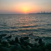 Prashant (@persiee24) 's Twitter Profile