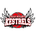 Team Solent Kestrels (@solentkestrels) Twitter profile photo Team Solent Kestrels (@solentkestrels) Twitter profile photo