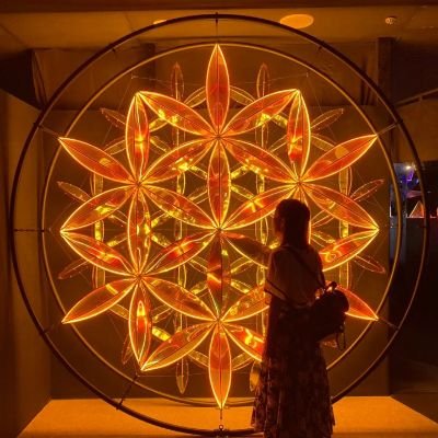 akinko415's profile picture. 中日ドラゴンズ応援してます〜！ 光GENJI世代で再結成望んでます❤ 今はふたつの風推し ドラゴンズファンの方や光GENJI世代の方と仲良くなりたいです 。大黒摩季も大好きなのでファンの方仲良くして下さい！ちいかわも好きでうさぎ推し🐰 モルモット飼ってます 名前は…もっさん✨