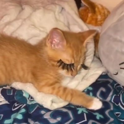 muminnn07's profile picture. 