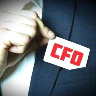 Yıllarca CFO olarak çalıştı.İş hayatında ve bürokraside güzel dostlar edindi. e-Smmm'dir. e-ticaret ve ERP uzmanıdır Bütçe ve fizibilite yapar.Ticaretle uğraşır