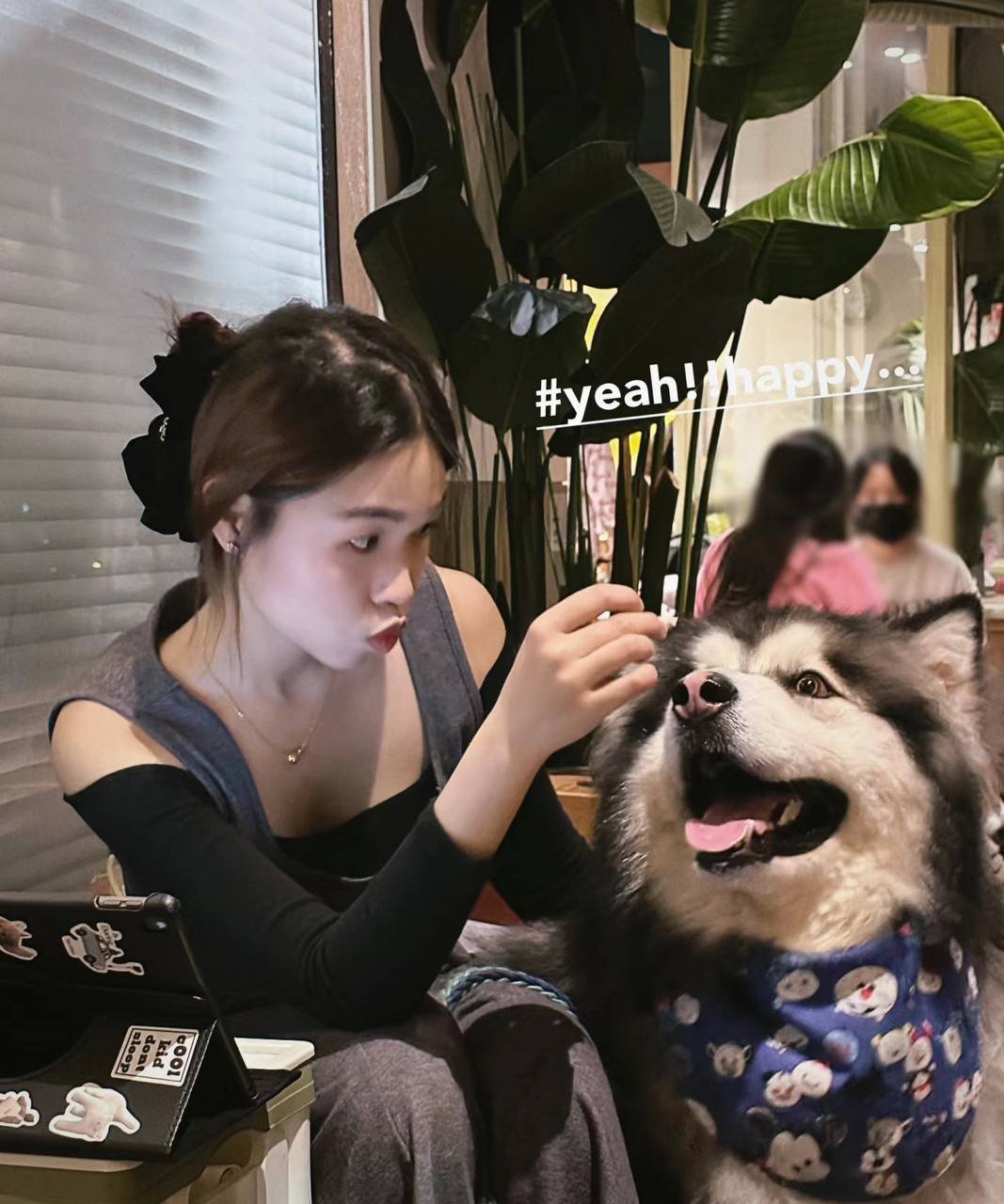 TileesdJQ's profile picture. 